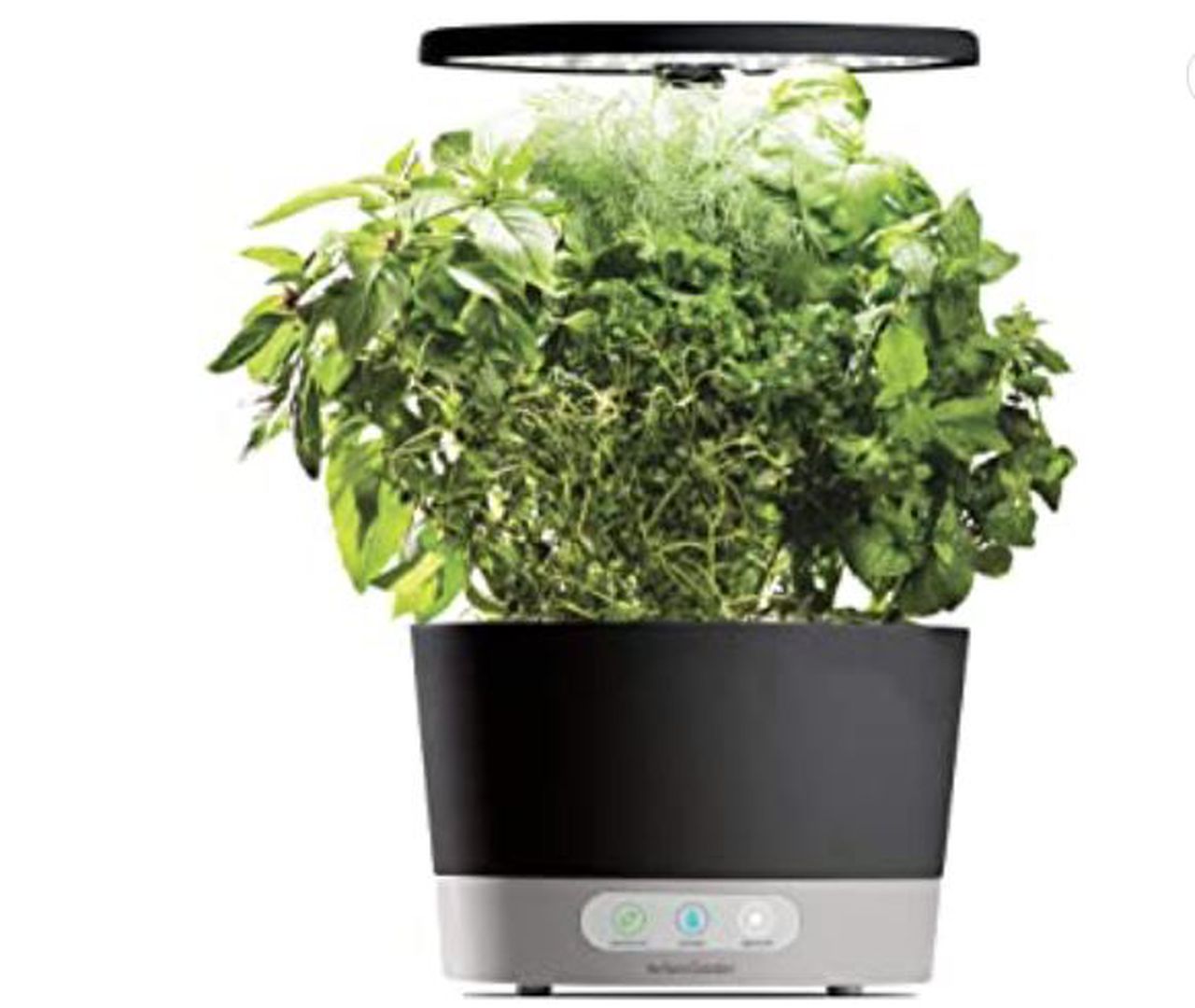 AeroGarden Harvest 360 with Gourmet Herb Seed Pod Kit