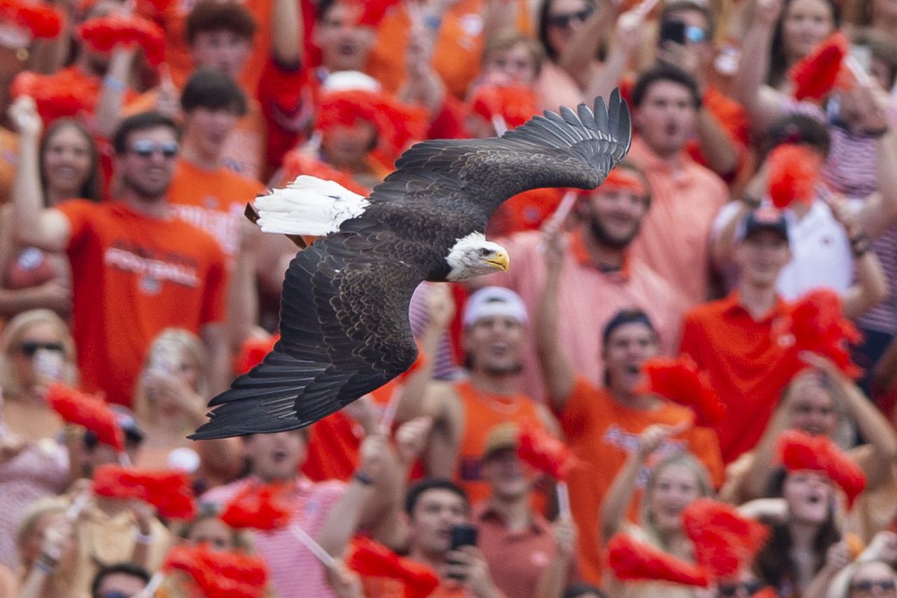 Auburn hires Jeff Whitehead as Senior Associate Athletic Director for Compliance