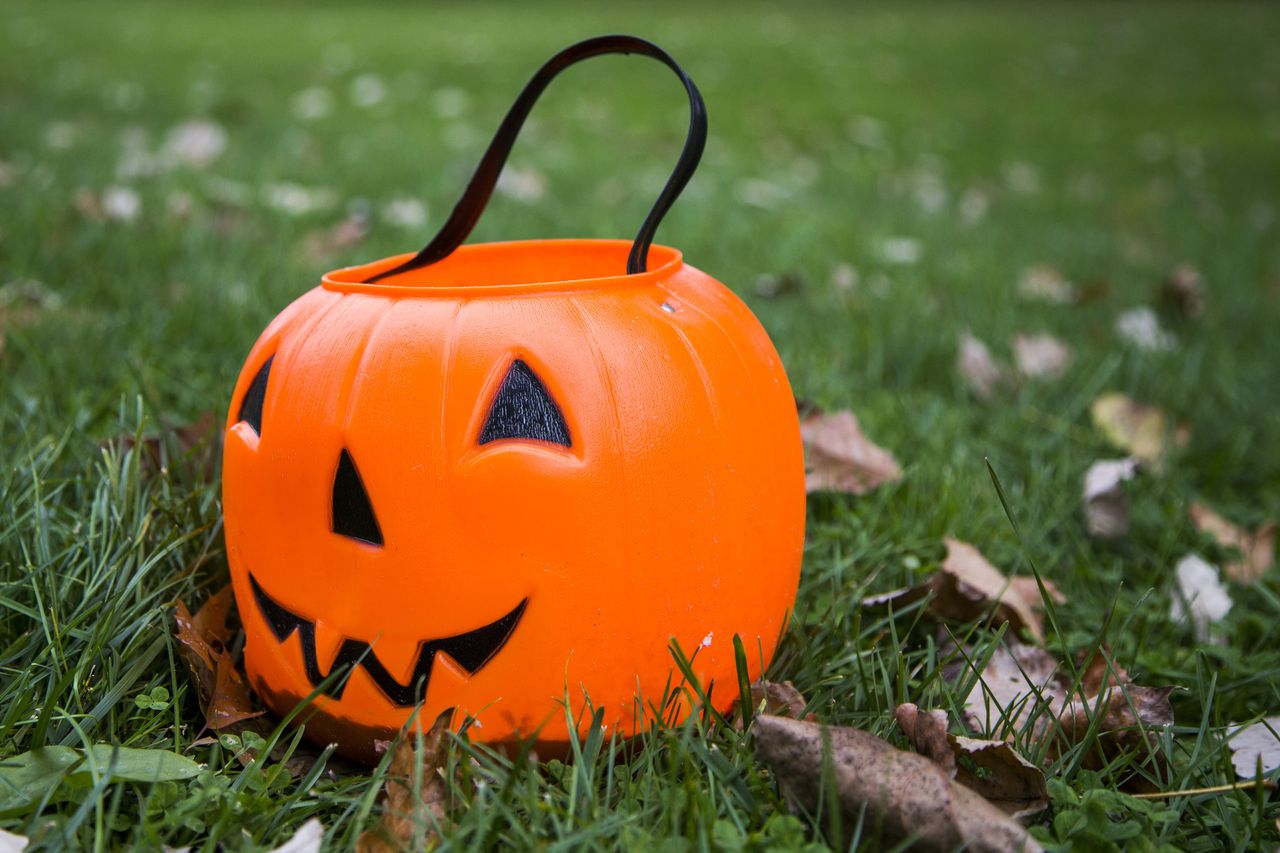 Cockroach infestation ruins trick-or-treating in Michigan neighborhood