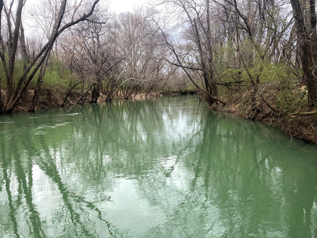 Just in time: North Alabama Land Trust beats deadline, saves Paint Rock River frontage