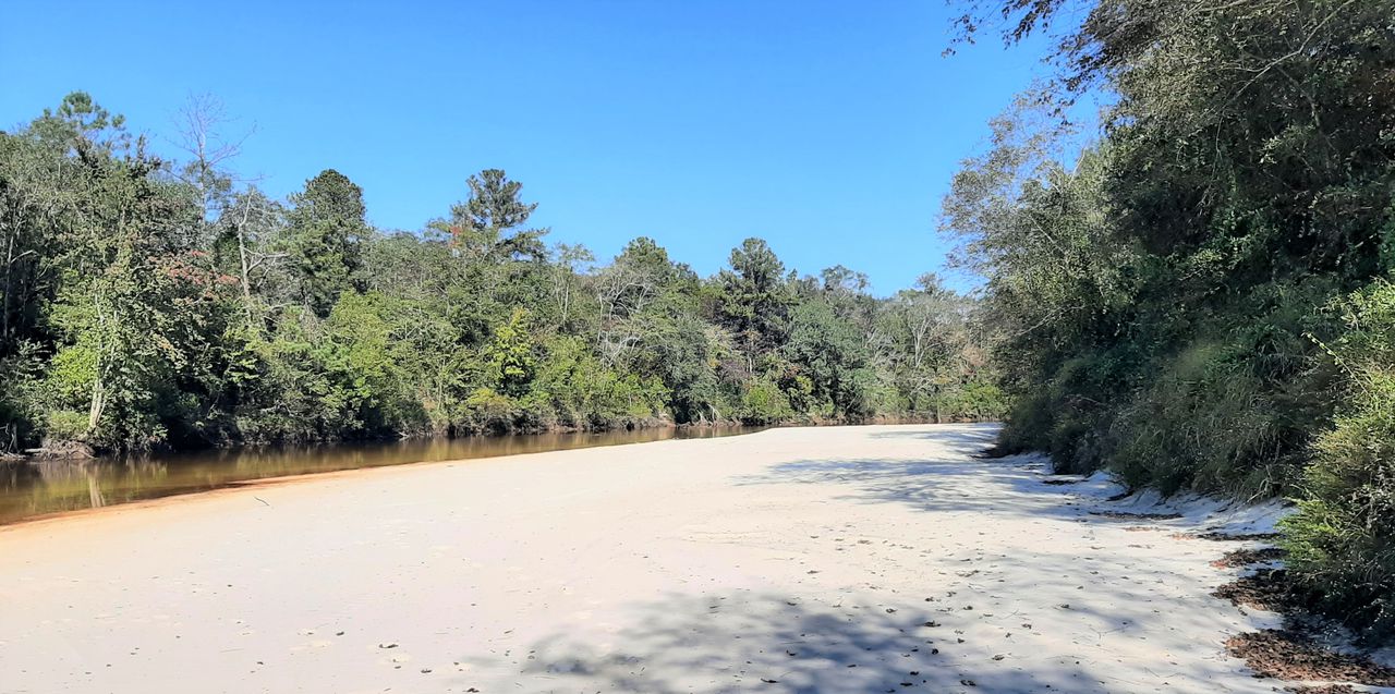 Mobile County’s Escatawpa Hollow Park reopens as transformation continues