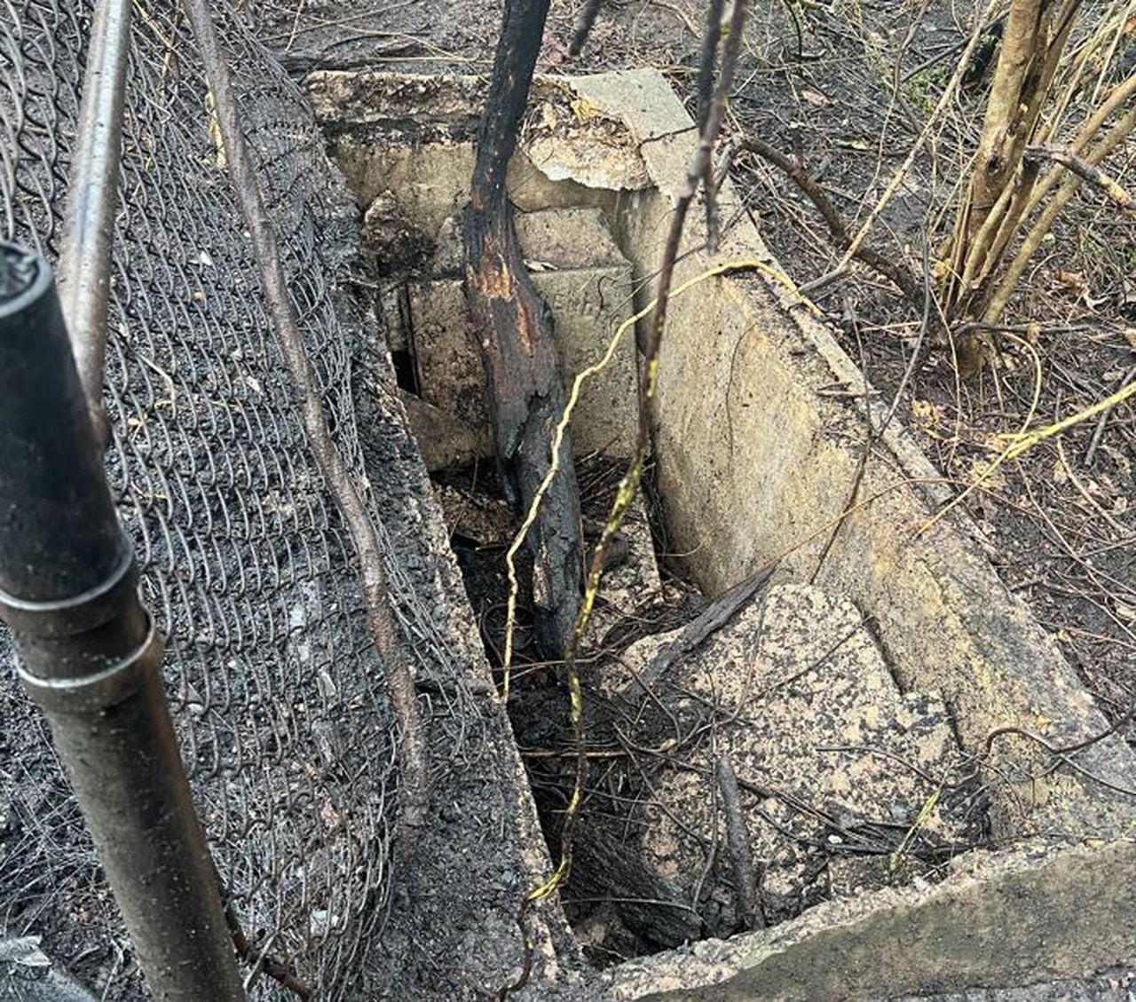 More than 20 forgotten graves discovered by firefighters battling Jefferson County woods fire