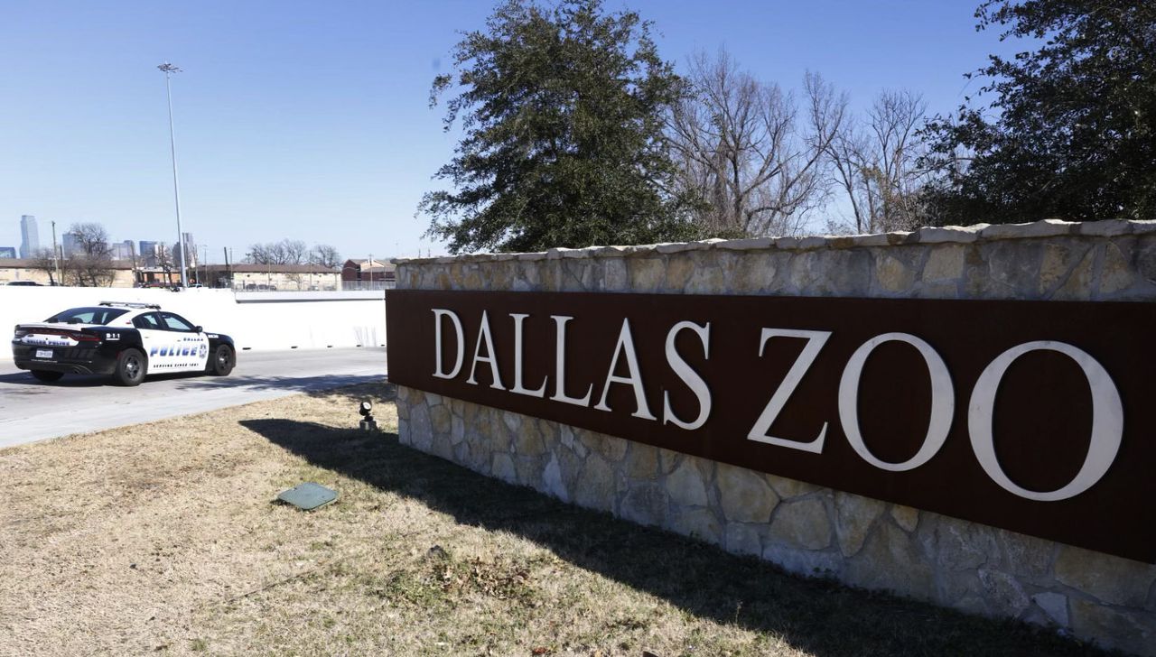 2 Dallas Zoo monkeys missing after enclosure tampered with