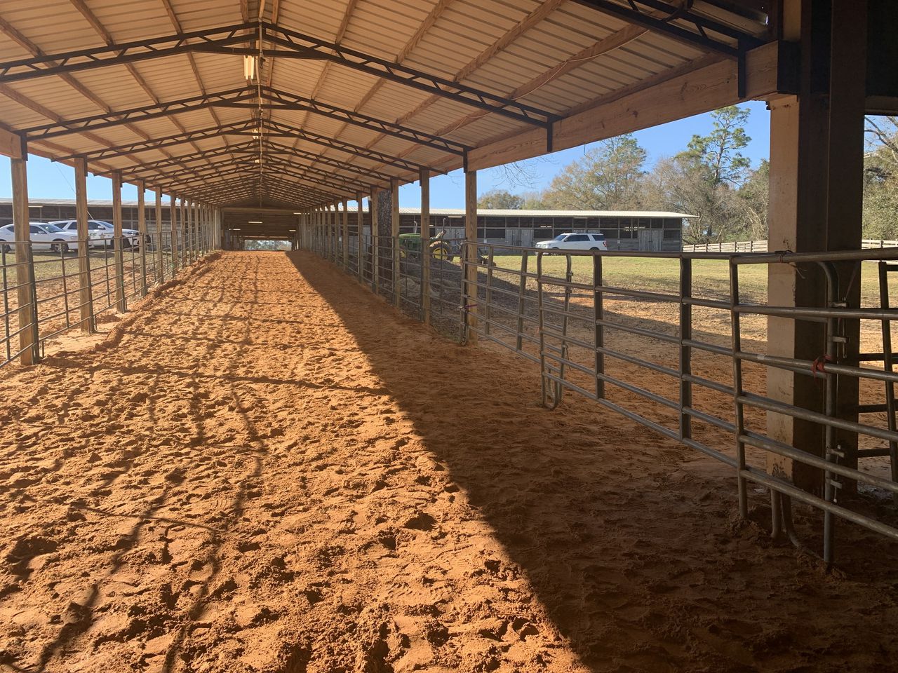 Alabama rider killed in Florida rodeo when horse throws her into a pole