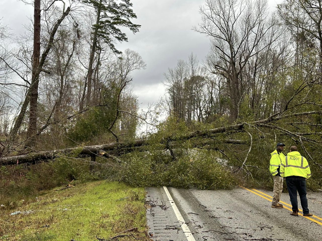 Alabama storm damage photos: Boats sink, trees slam into houses amid severe weather