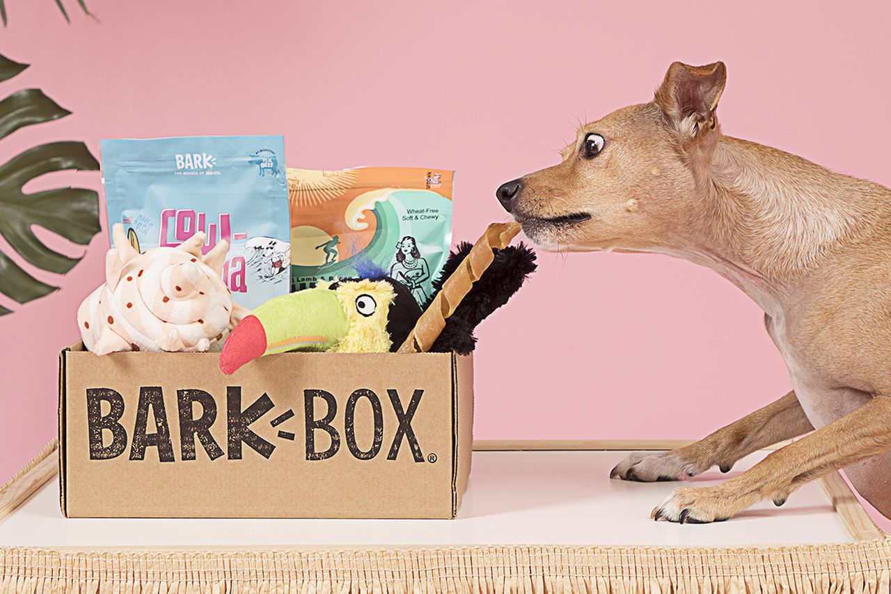 Barkbox is offering a free Yeti dog bowl with sign up for a limited time