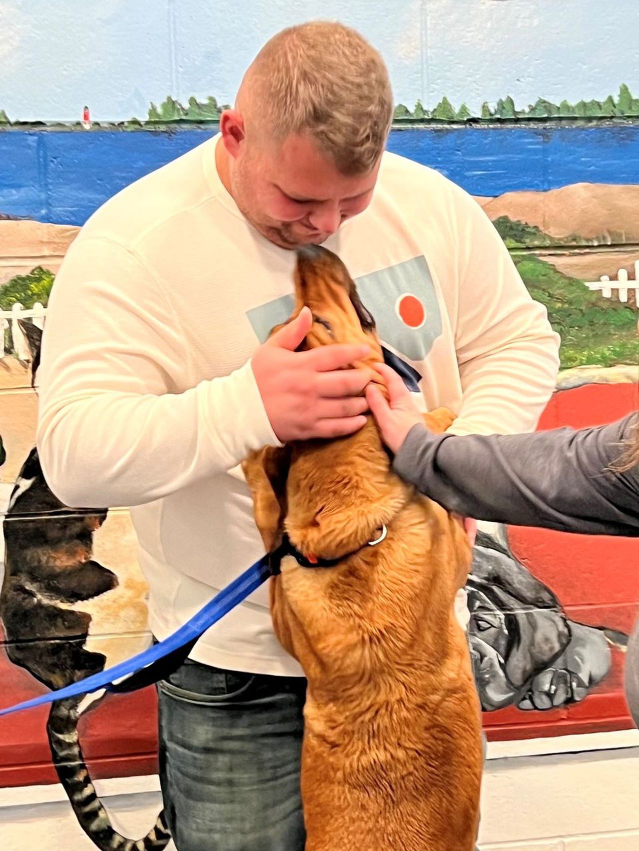 Dog missing 2 years found in New Jersey puppy mill, reunited with Tennessee family