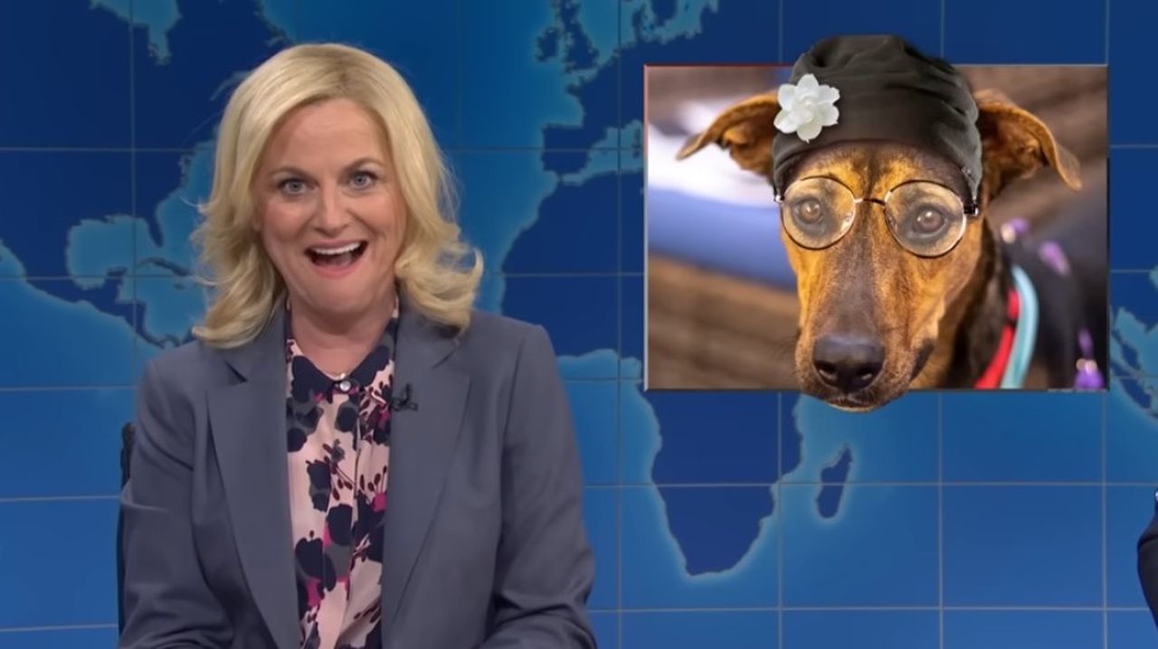 Leslie Knope returns to crack Rosa Parks pun on SNL’s Weekend Update