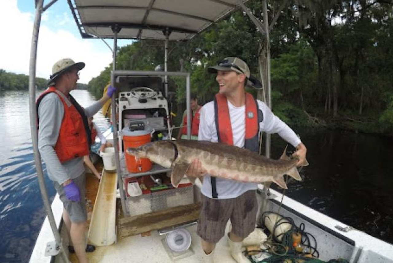 Rare fish washes up on shores of Mobile Bay and it’s a little scary looking