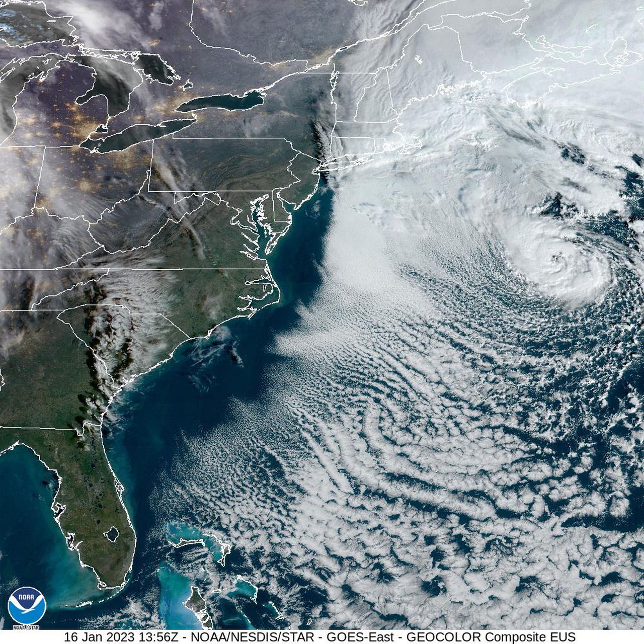 Tropical storm in January? It’s not impossible