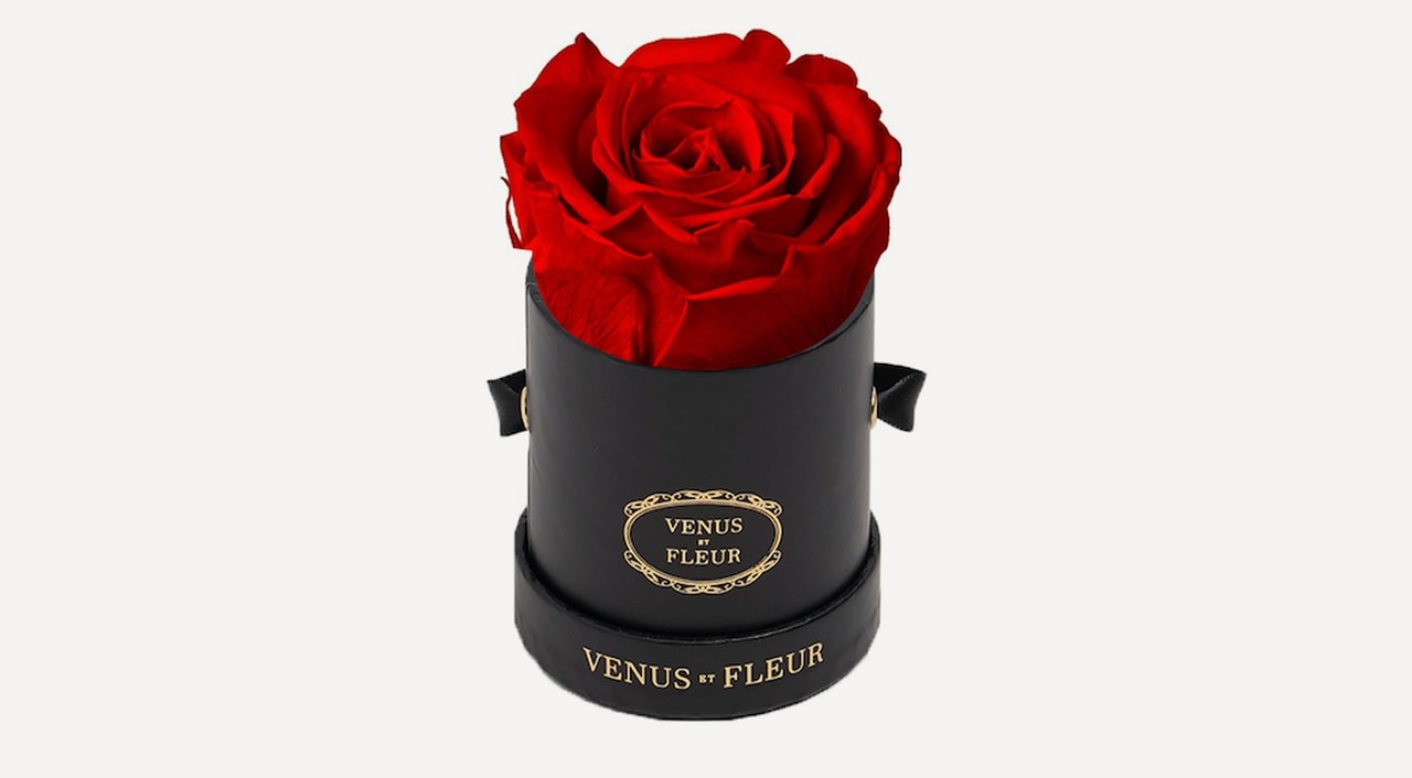 Venus Et Fleur Le Mini Round Eternity Rose