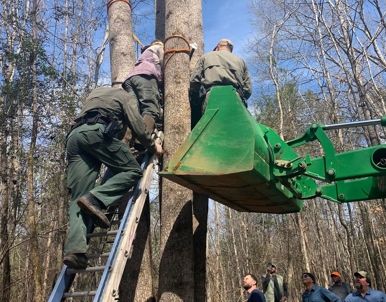 Alabama hunter dangling from tree after deer stand collapses saved by firefighters