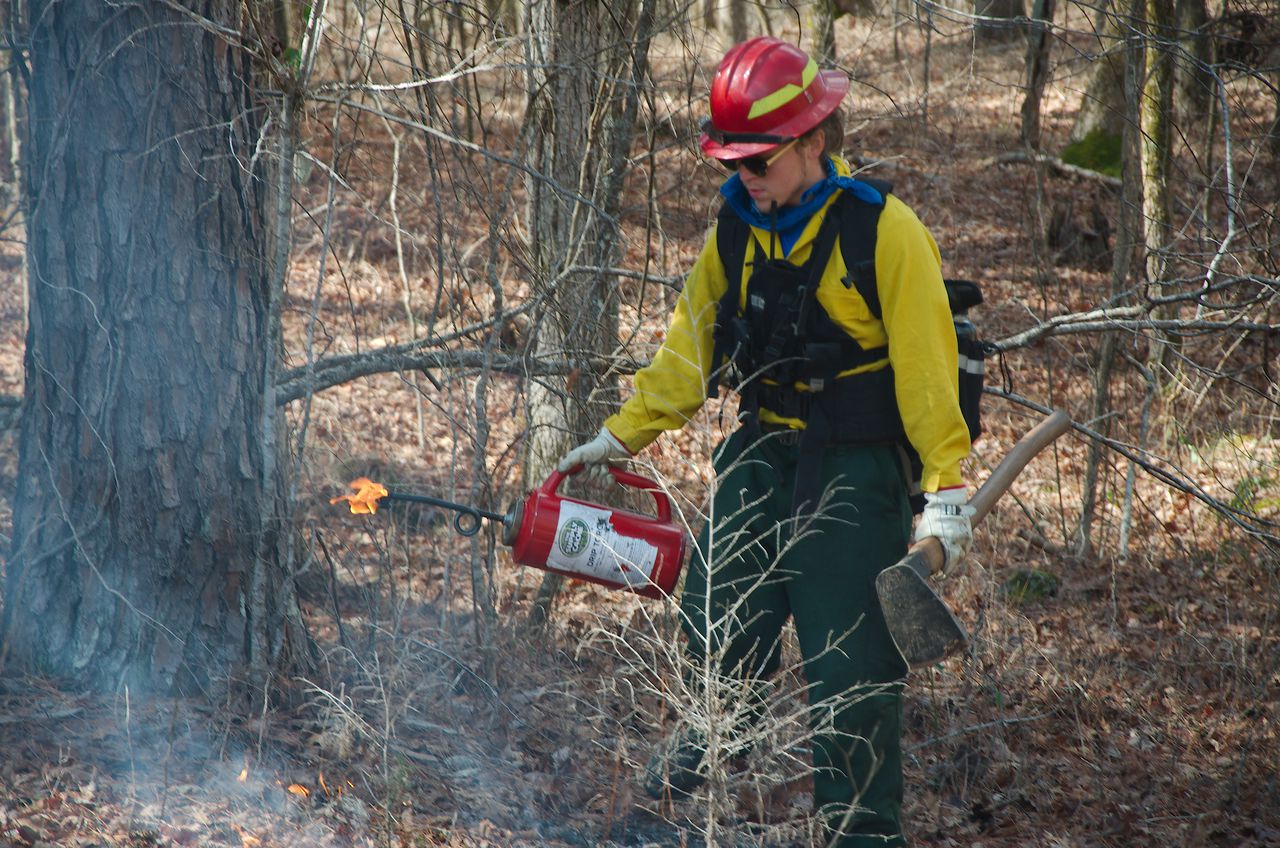 Fire school is in session: Control burn trainees in Alabama learn to use fire as a tool