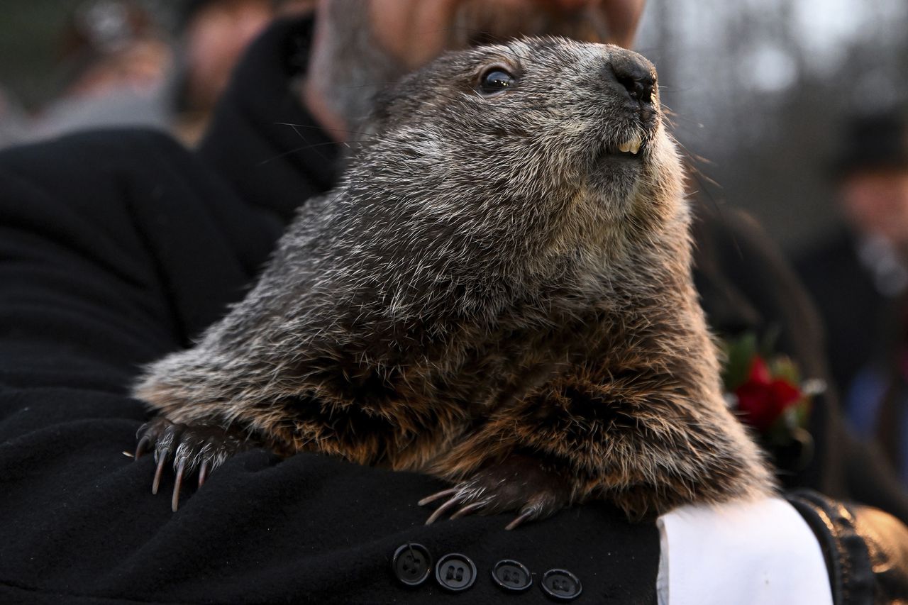 Groundhog Day 2023 weather prediction: What does it mean if