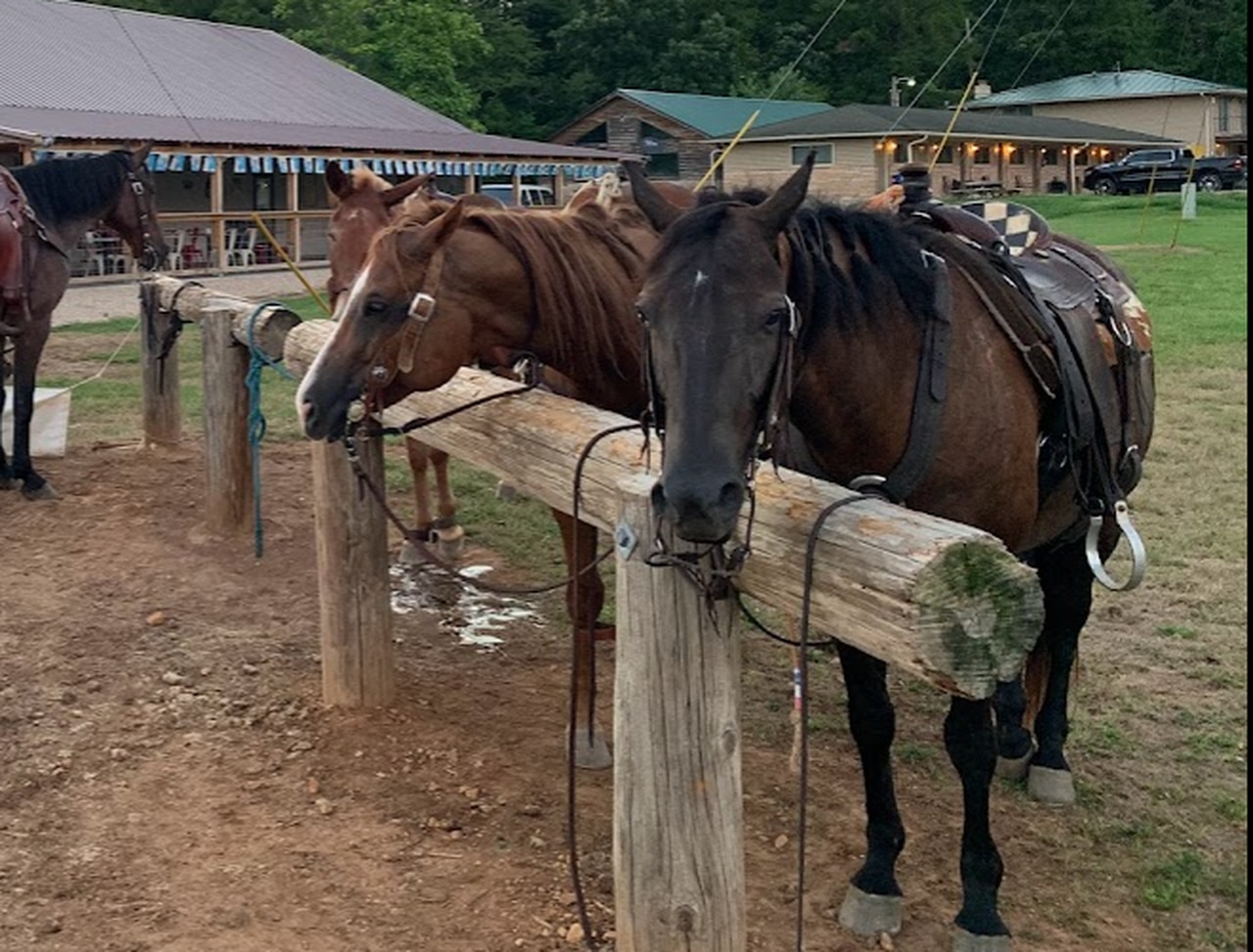 Horse rider shot as dozens of rounds fired near Alabama-Florida line, man arrested