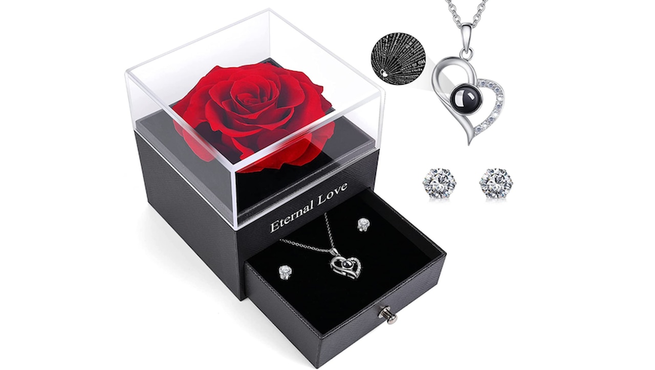 Preserved Red Real Rose with I Love You Necklace