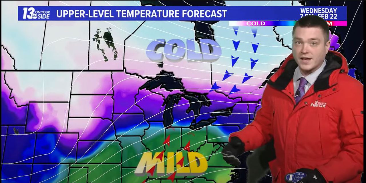 Watch a Michigan meteorologist chase two cats during a morning newscast