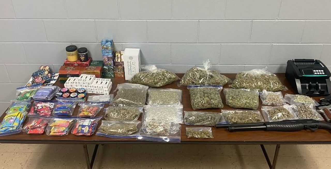 7 lbs. of marijuana, LSD, mushrooms among drugs seized during raid at Jasper home; 3 charged