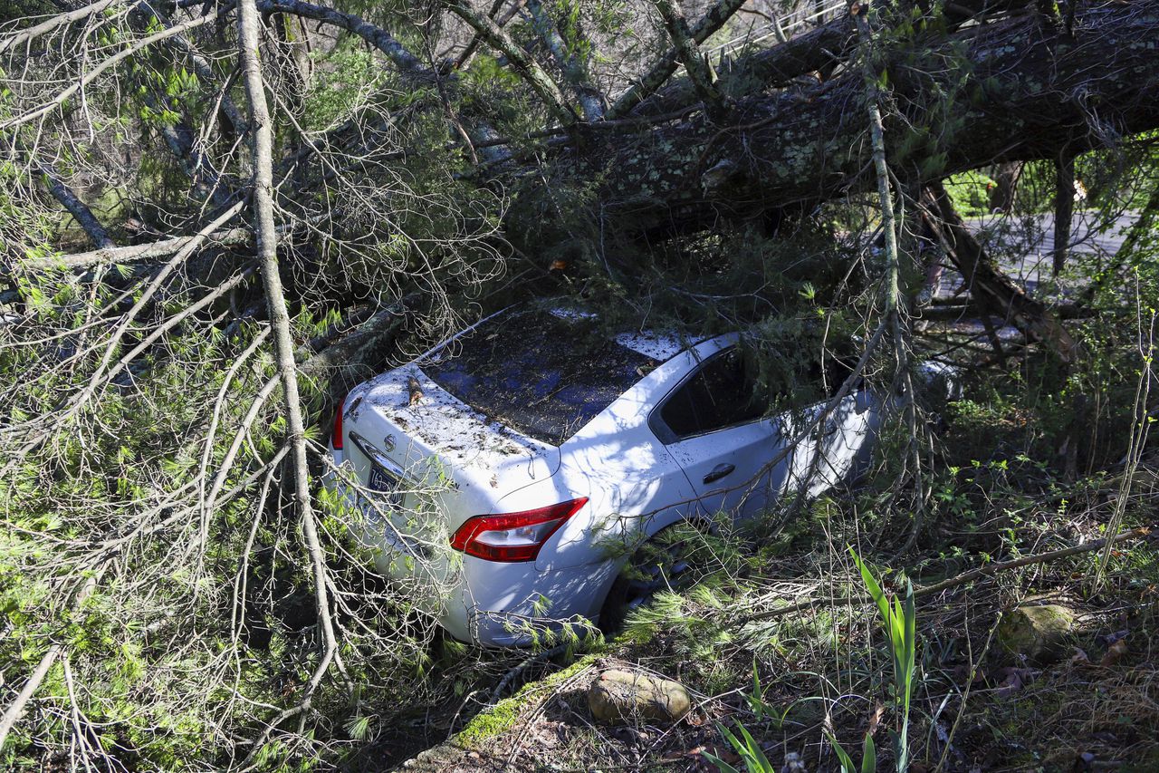 Deadly storms leave widespread damage in the South; heavy snow slams Northeast