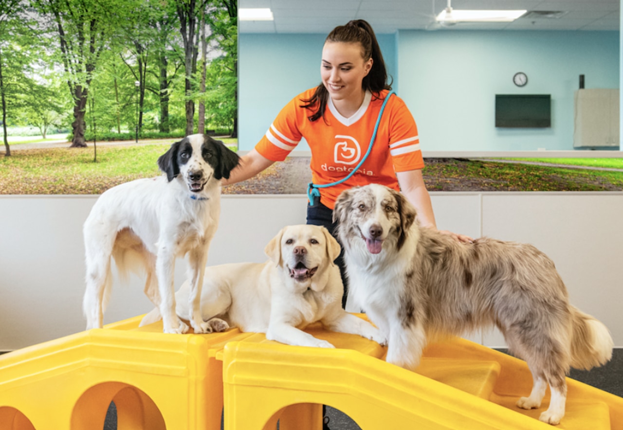 Dogtopia to open second Alabama location in Madison