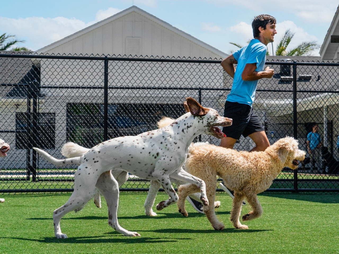 Pet resort and wellness chain with pool, splash pad coming to Alabama