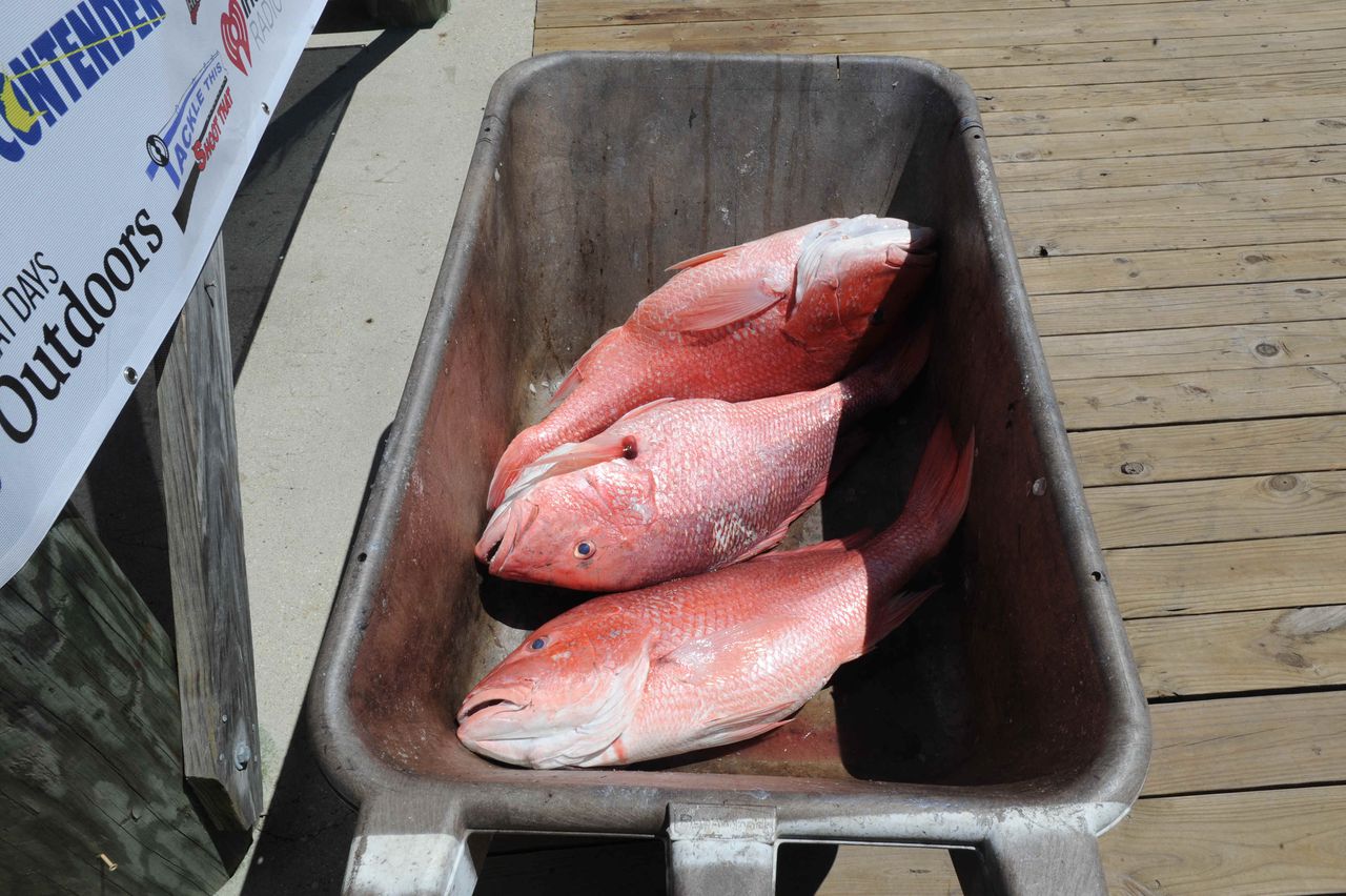 Red snapper frustrations boil over in Alabama as feds place strict limits on 2023 season