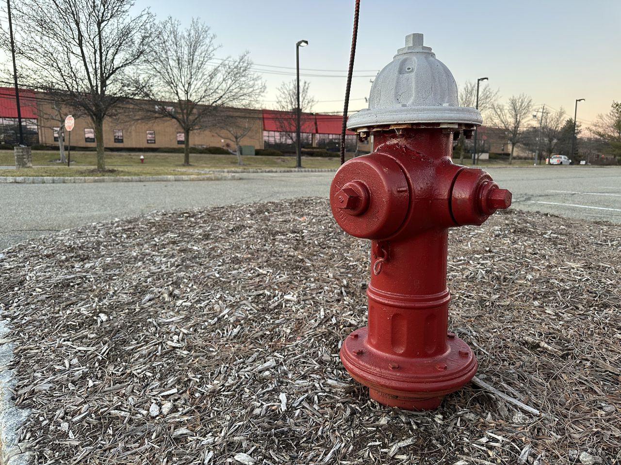 Two caught trying to steal Mobile fire hydrant had drugs, weapon, police say