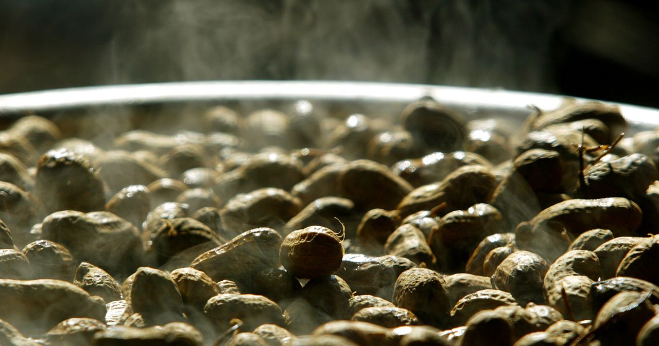 Boiled peanuts