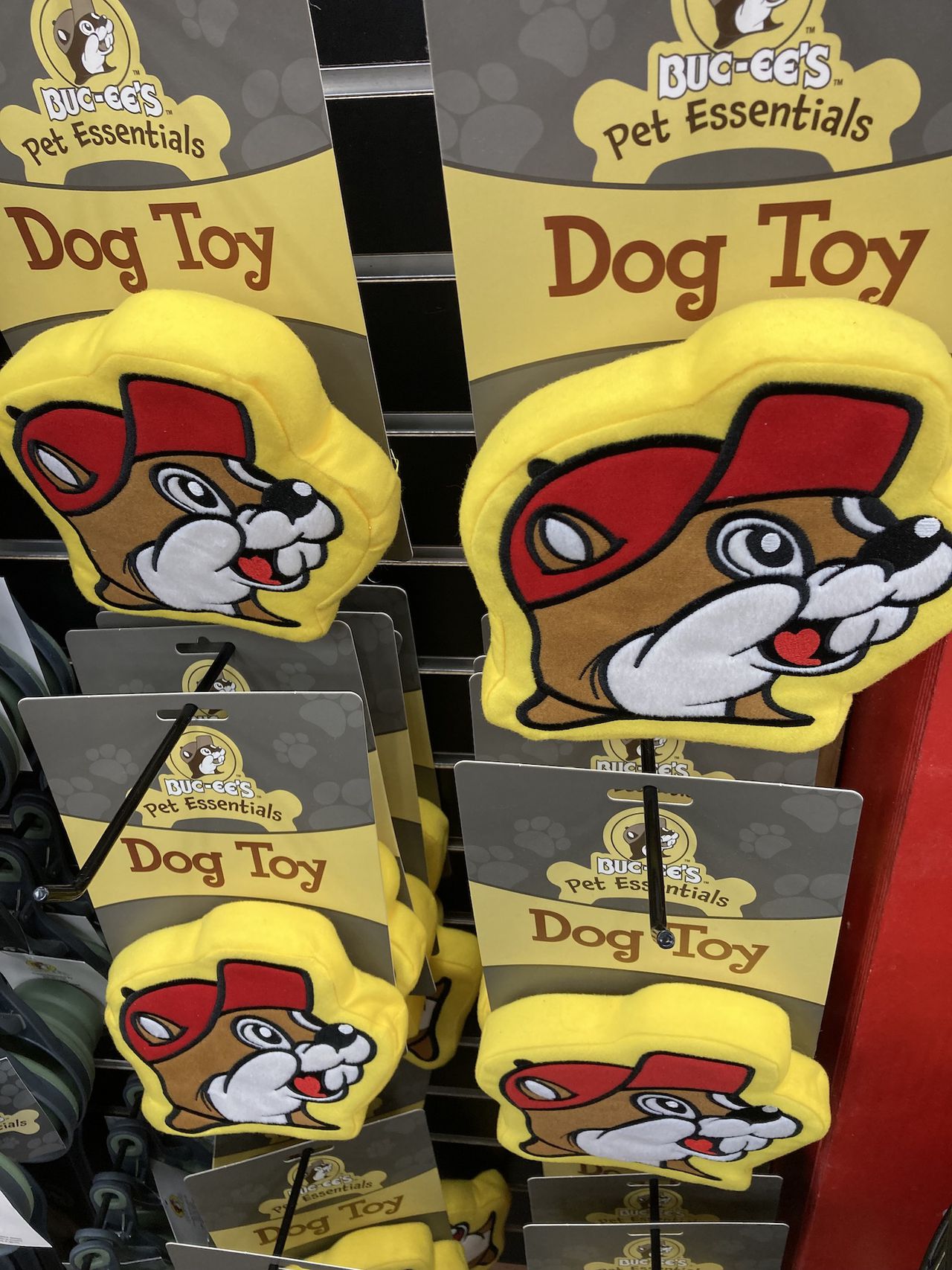 Buc-ee's plush dog toy