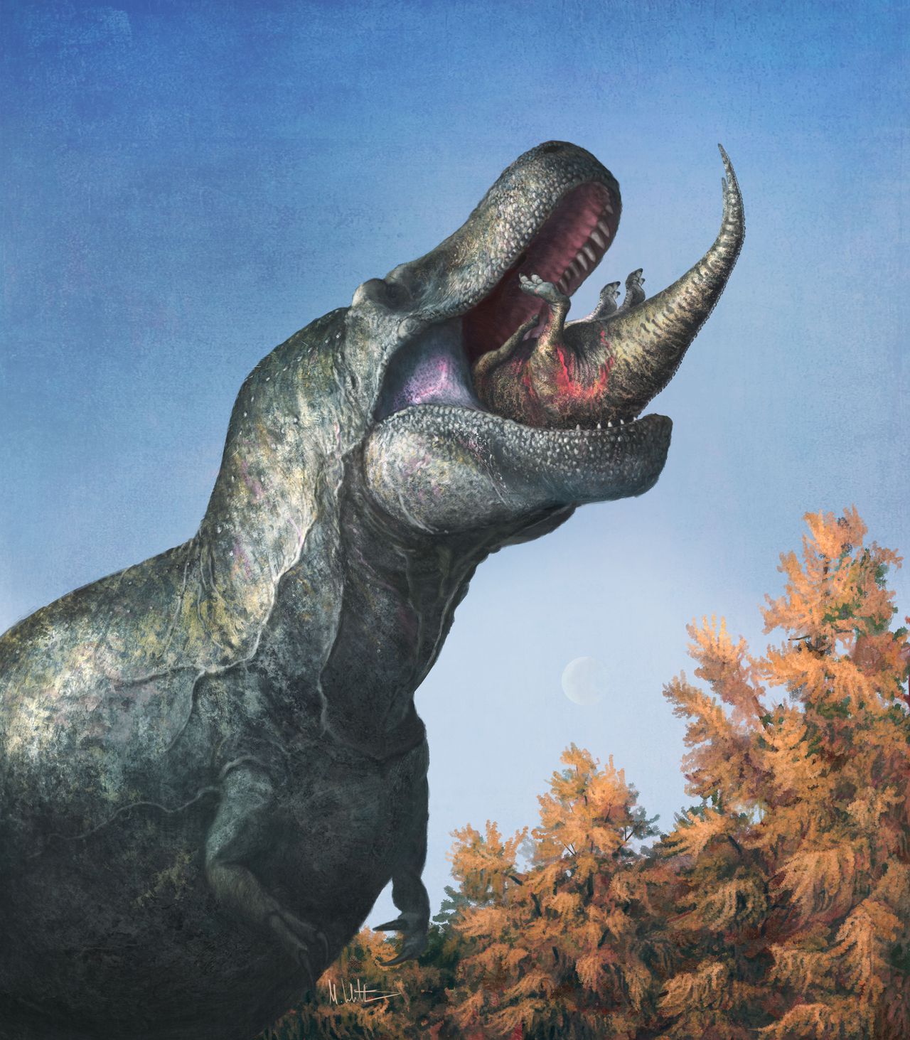 Did Tyrannosaurus rex have lips? Auburn professor’s research suggests yes