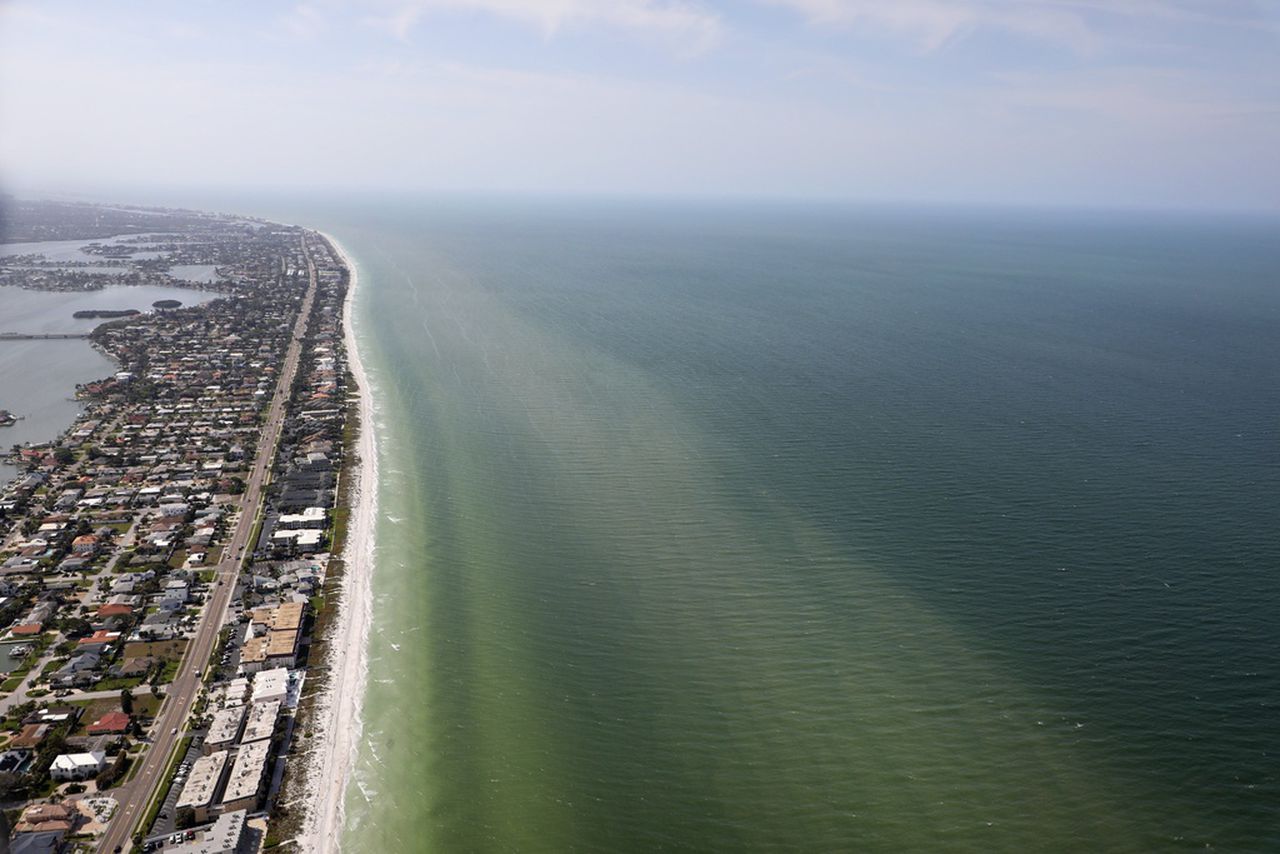 Is Florida’s red tide here to stay? What to know before you visit the beach