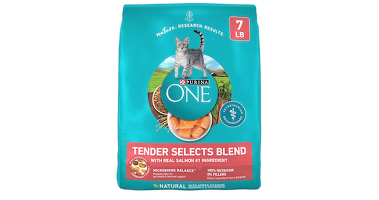 Purina ONE Natural Dry Cat Food, Tender Selects Blend With Real Salmon