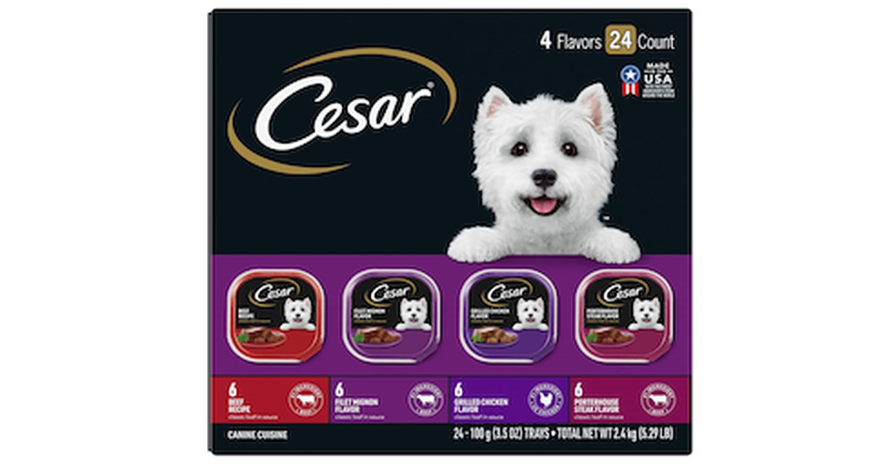 CESAR Wet Dog Food Classic Loaf in Sauce Beef Recipe Variety Pack