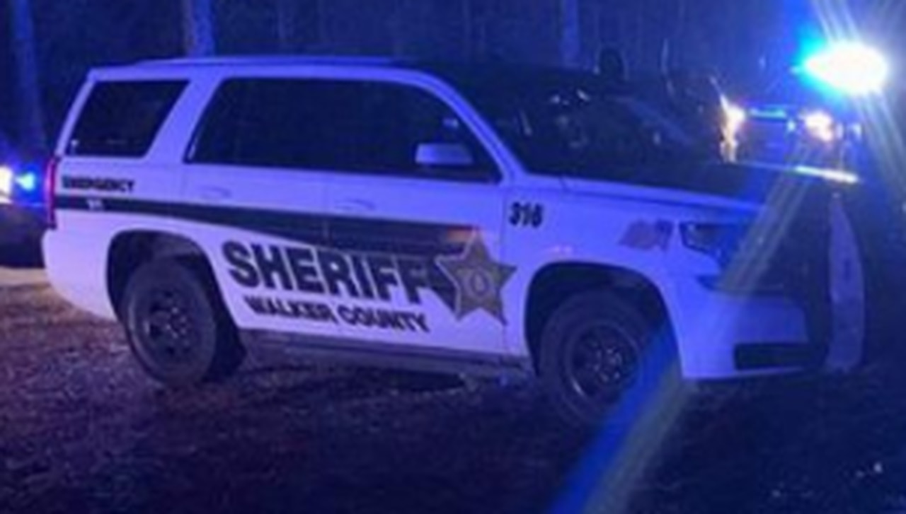 Possible human bone found in Walker County sparks searches, tests