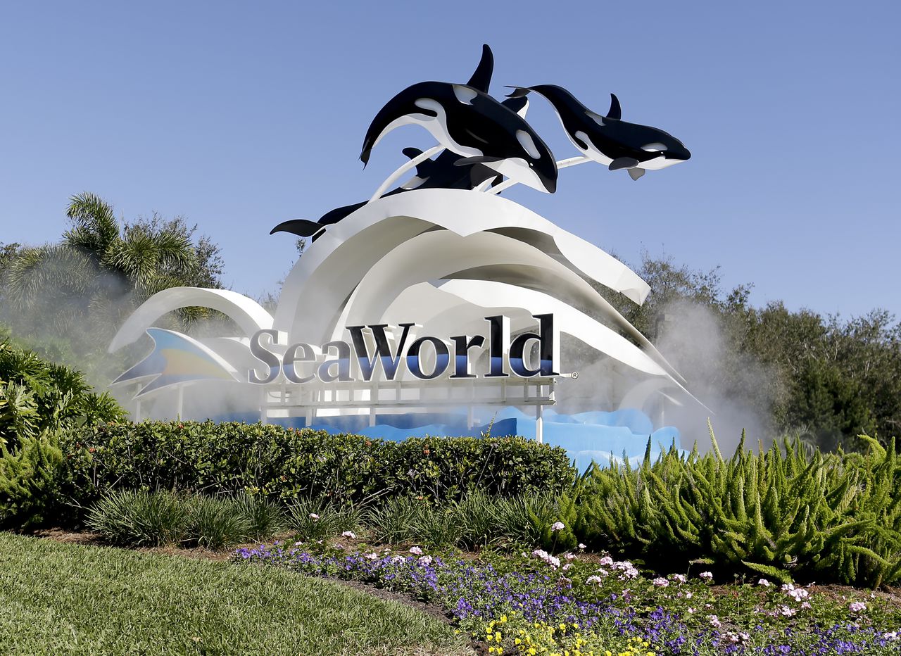 SeaWorld Orlando is opening world’s first ‘surf coaster’ this summer