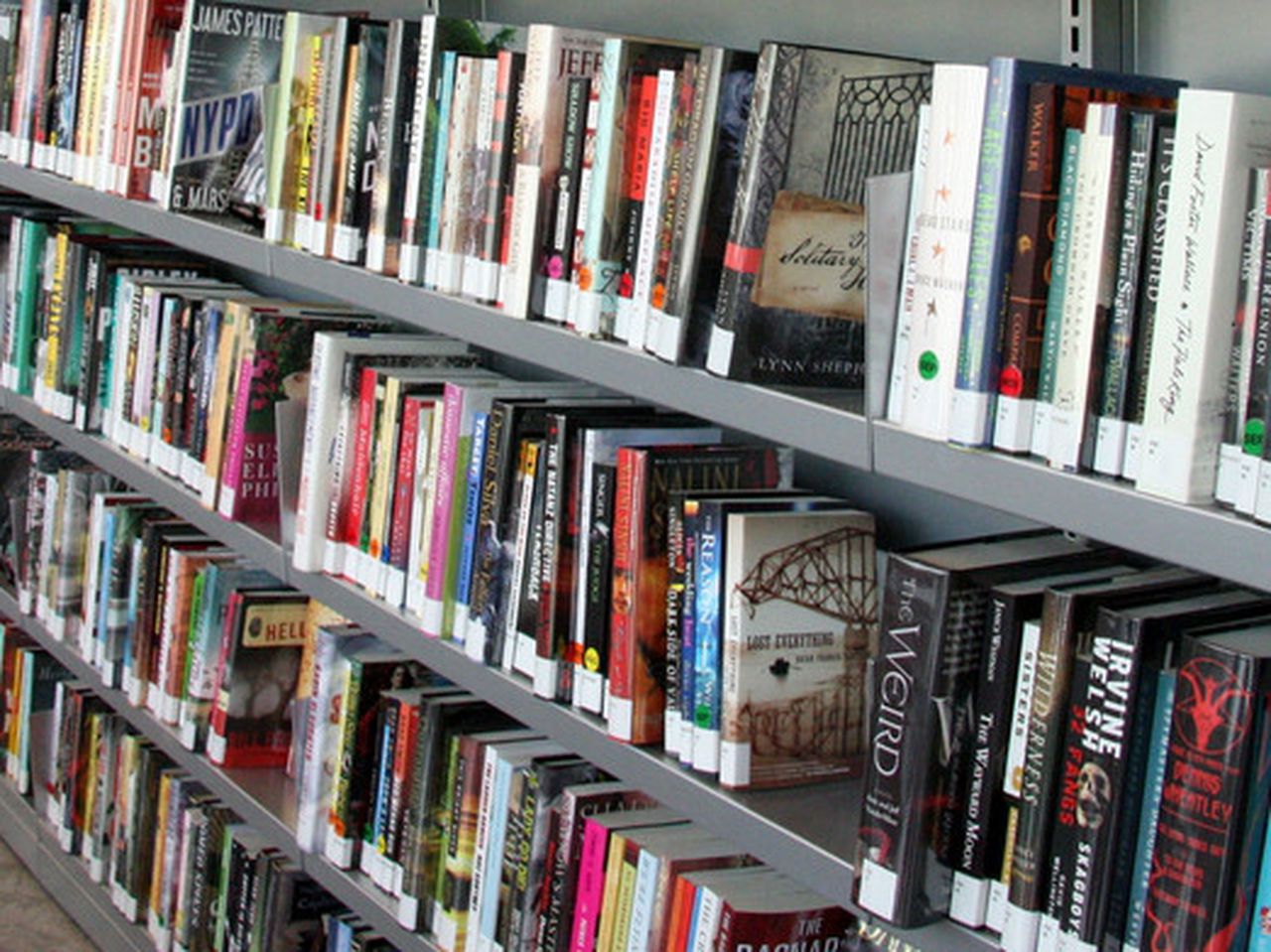 Texas county might close libraries after order to return banned books to shelves