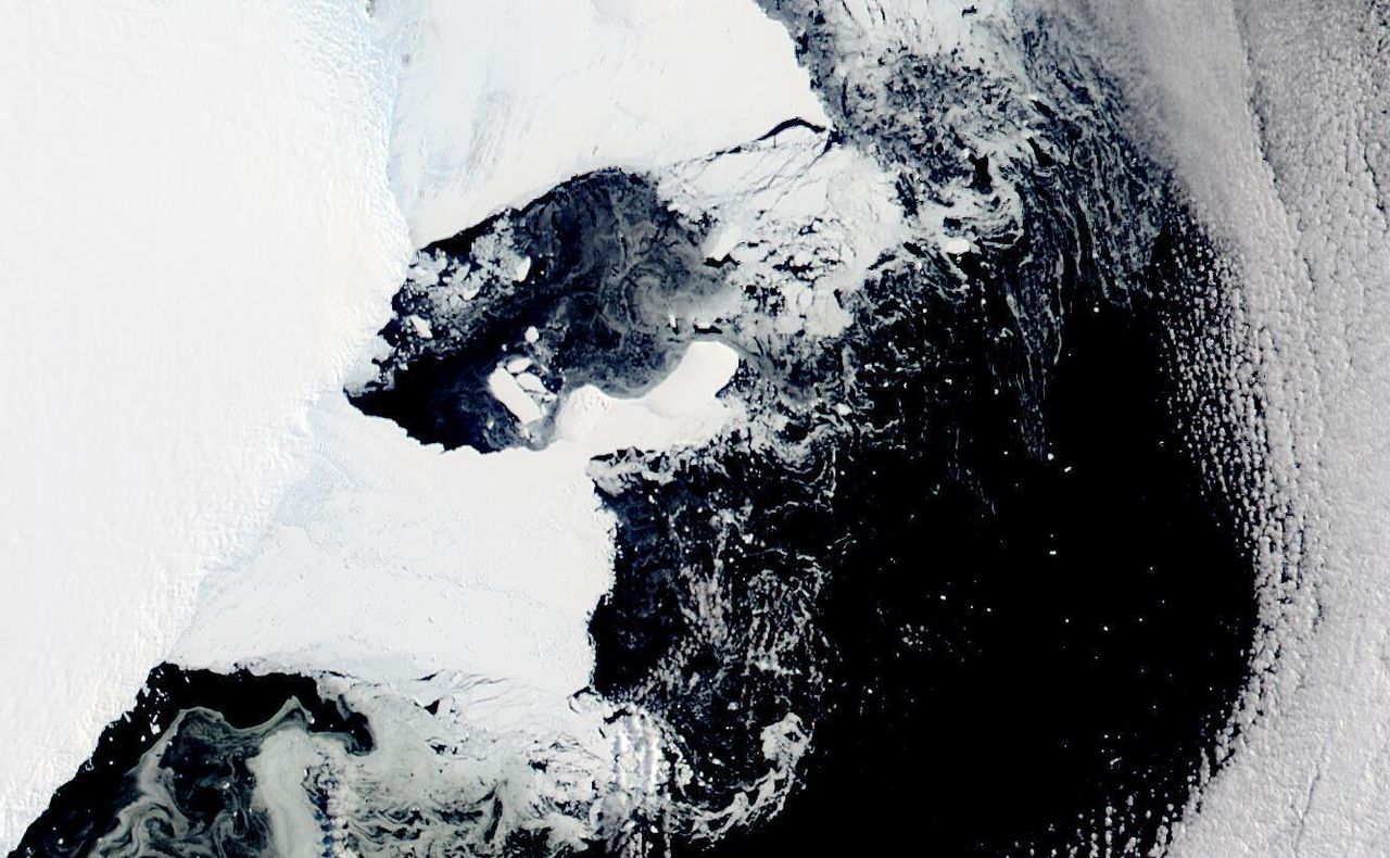 UAB scientist: Antarctica is telling us big stories of climate change