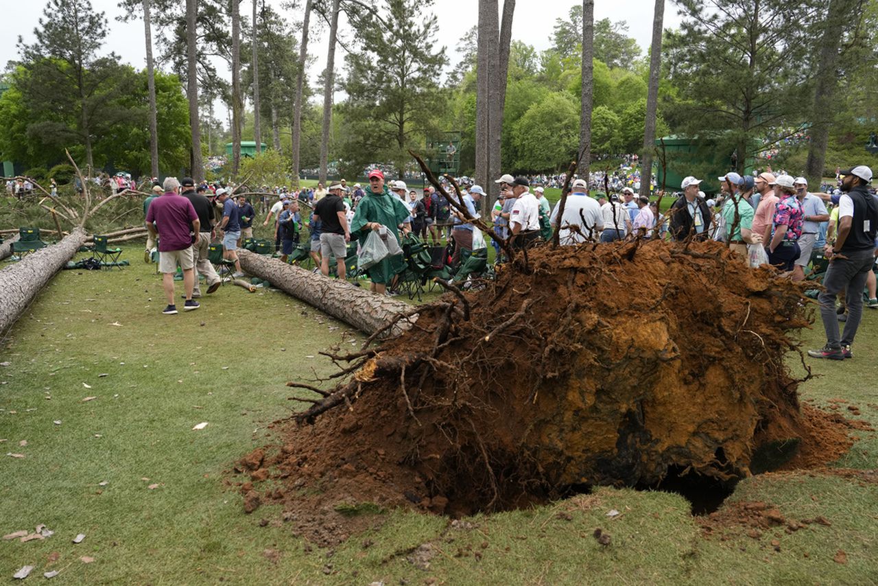 Masters trees