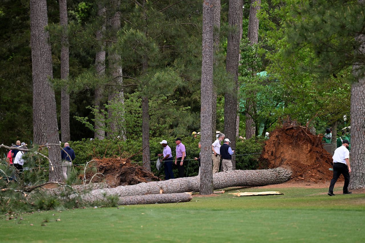 Masters trees