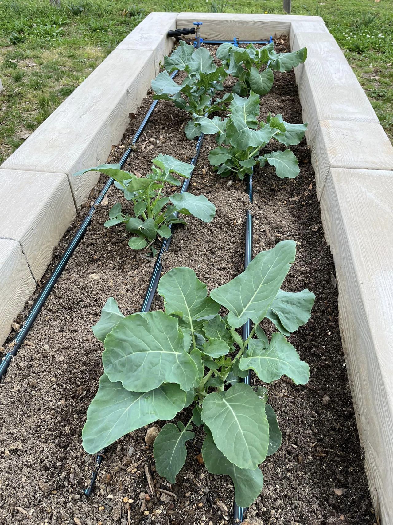 ‘We grow collards year-round’: Birmingham allots $805,000 for Jones Valley Farm