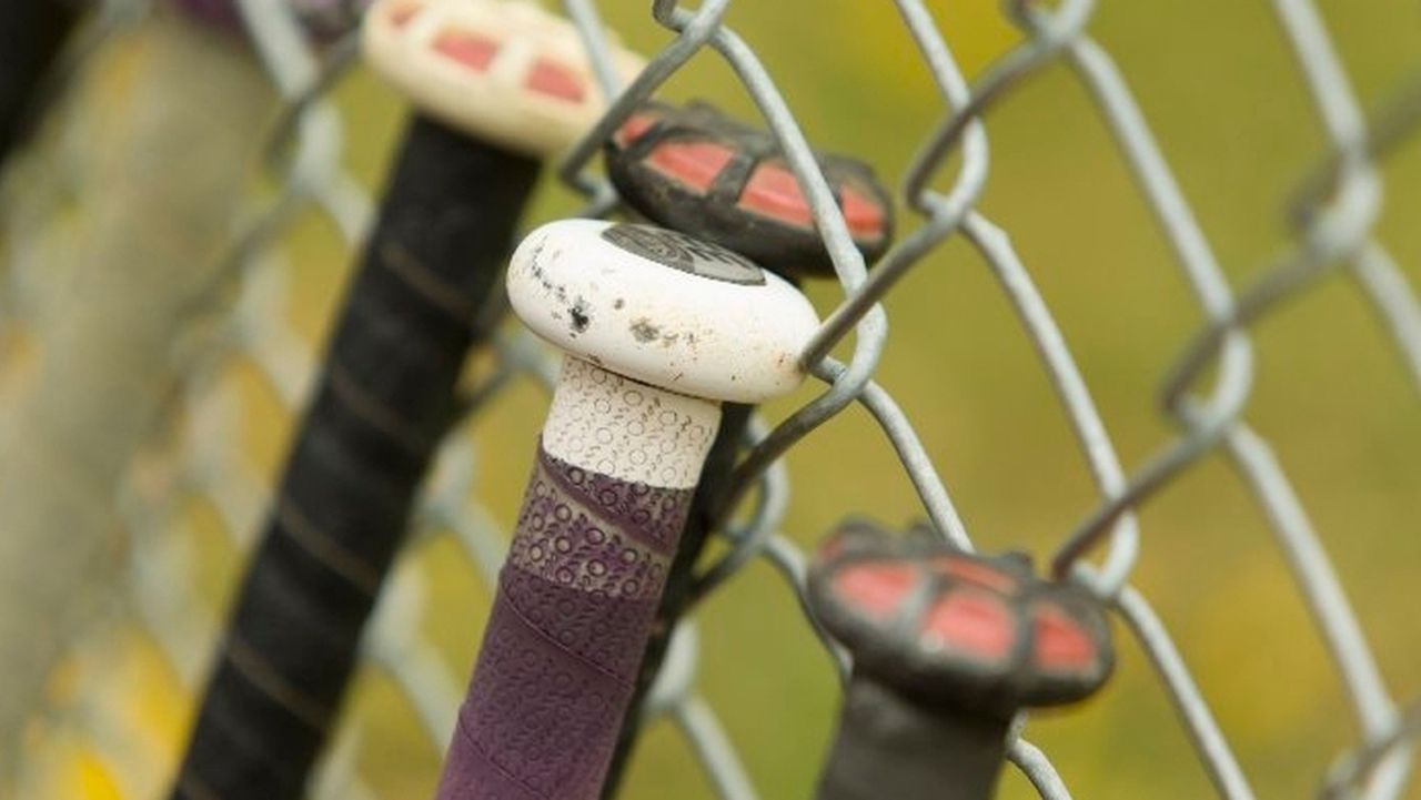 2 Alabamians suspended from Tennessee park after brawl, arrests at softball game