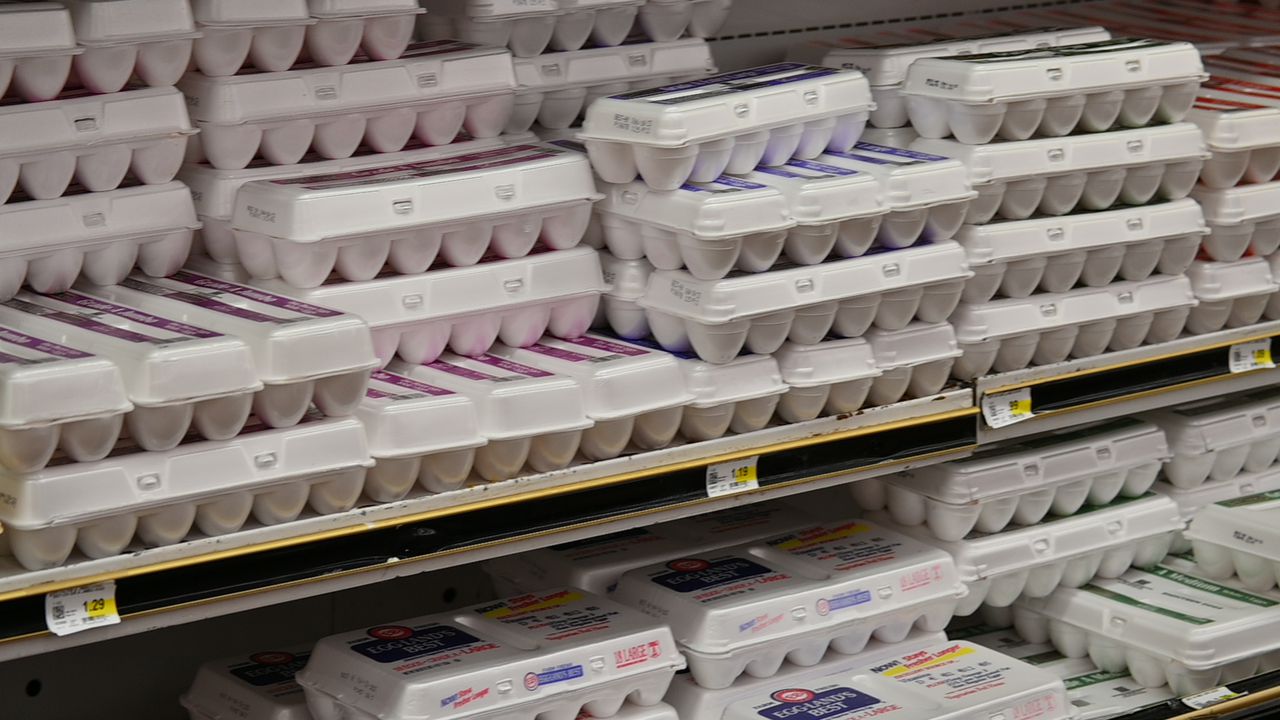 Alabama House passes bill to cut state sales tax on food