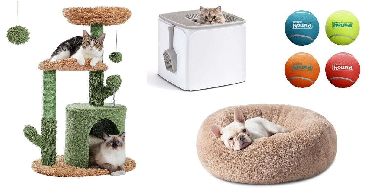 Amazon kicks off ‘Amazon Pet Day’ with deals on pet products through May 3