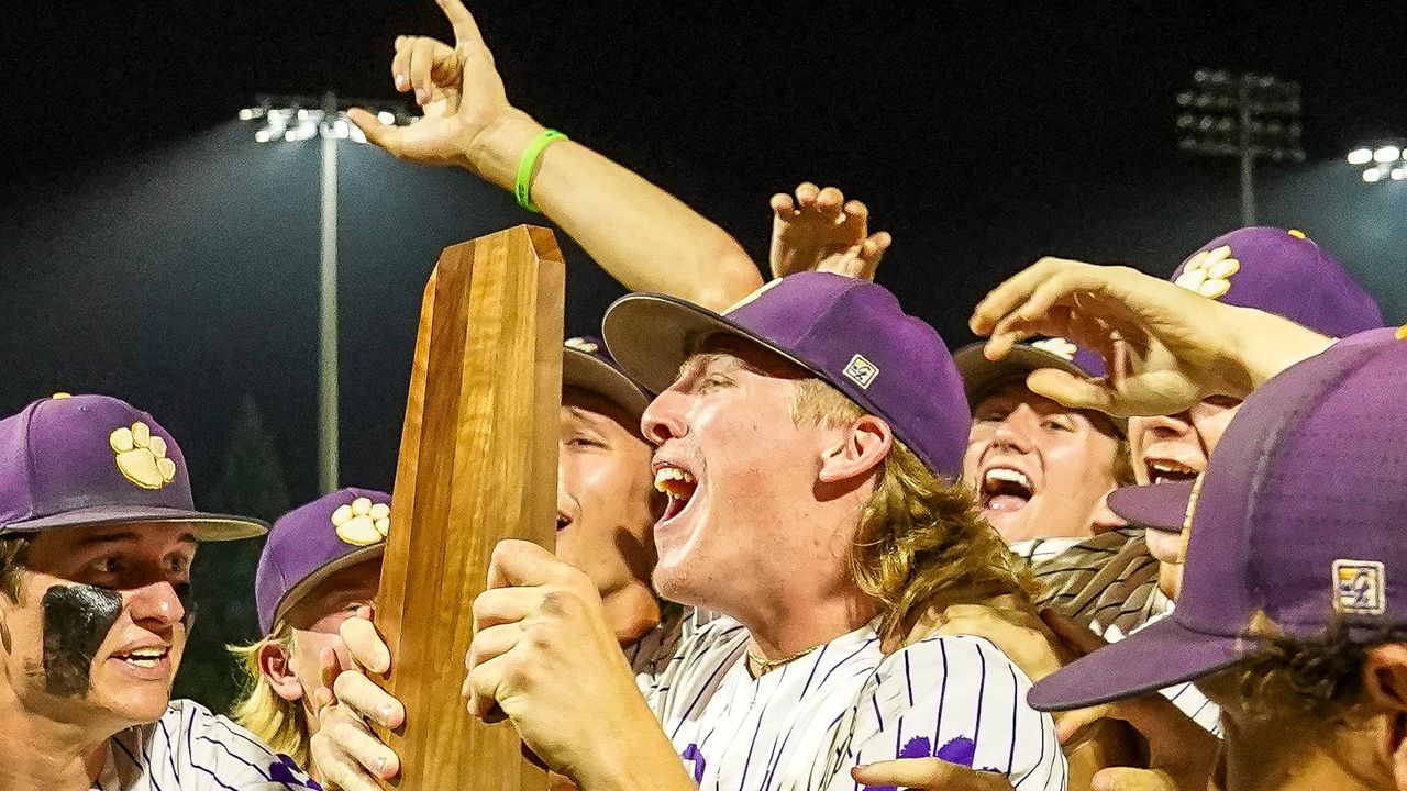 Ariton earns 2A state title with walk-off win over Vincent