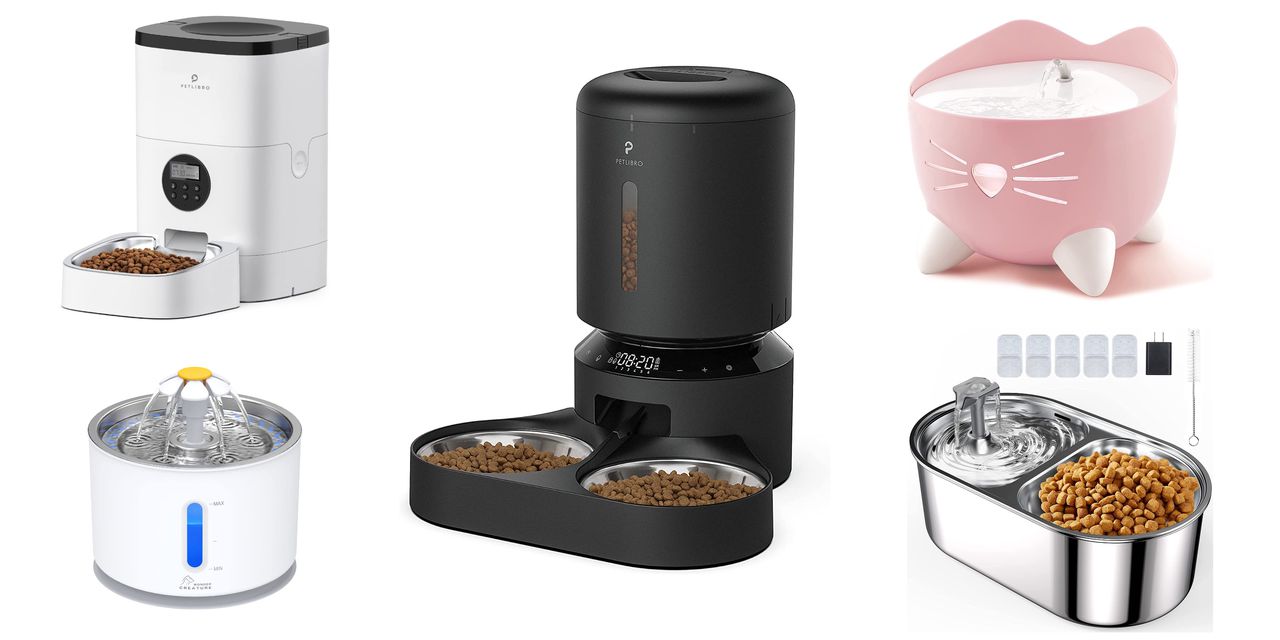 Best Amazon Pet Day deals on drinking fountains and automatic feeders