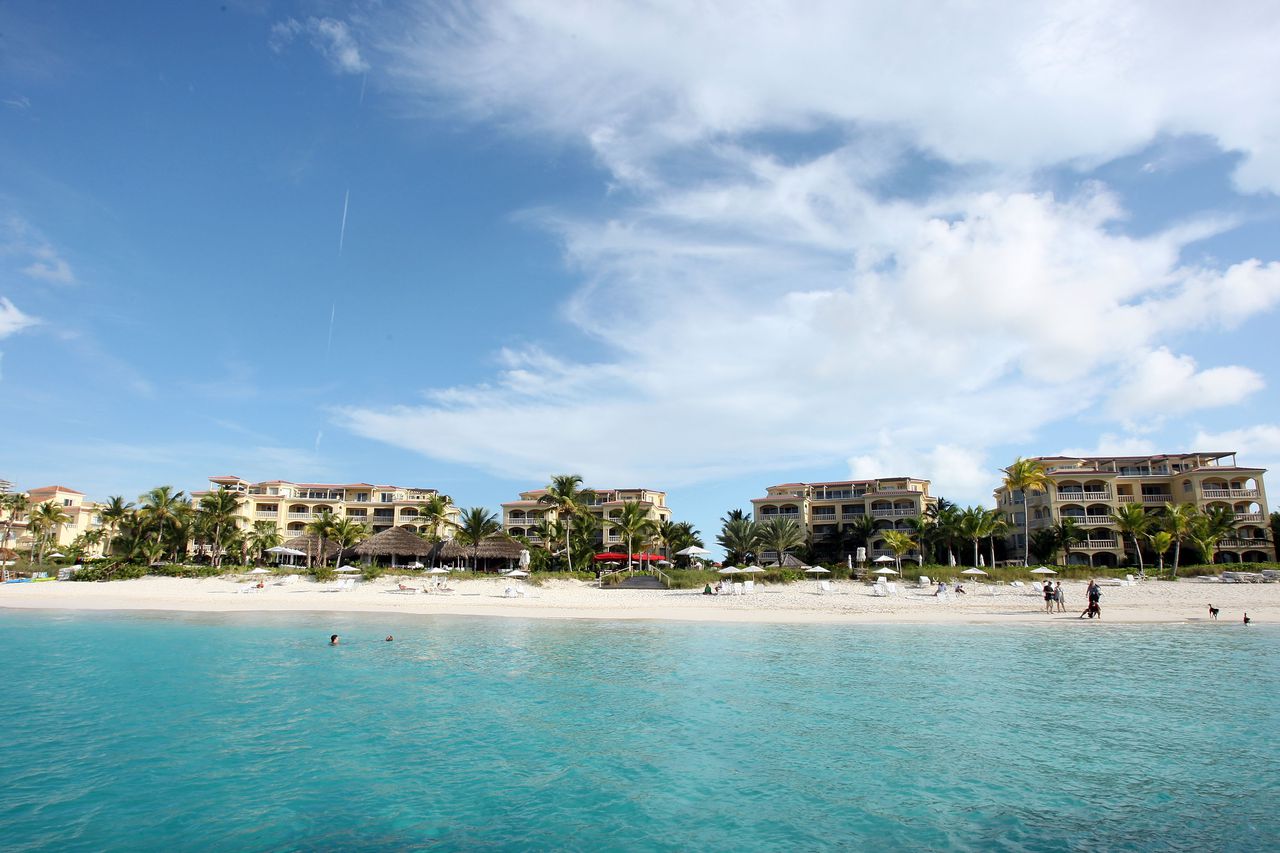 Connecticut womanâs leg bitten off in shark attack while scuba diving in Turks and Caicos
