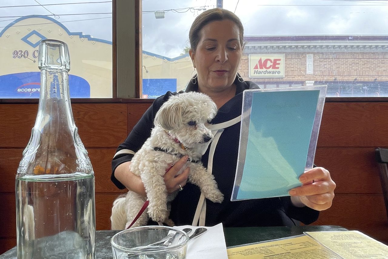 Dogs are being welcomed at more outdoor restaurants, by the government at least