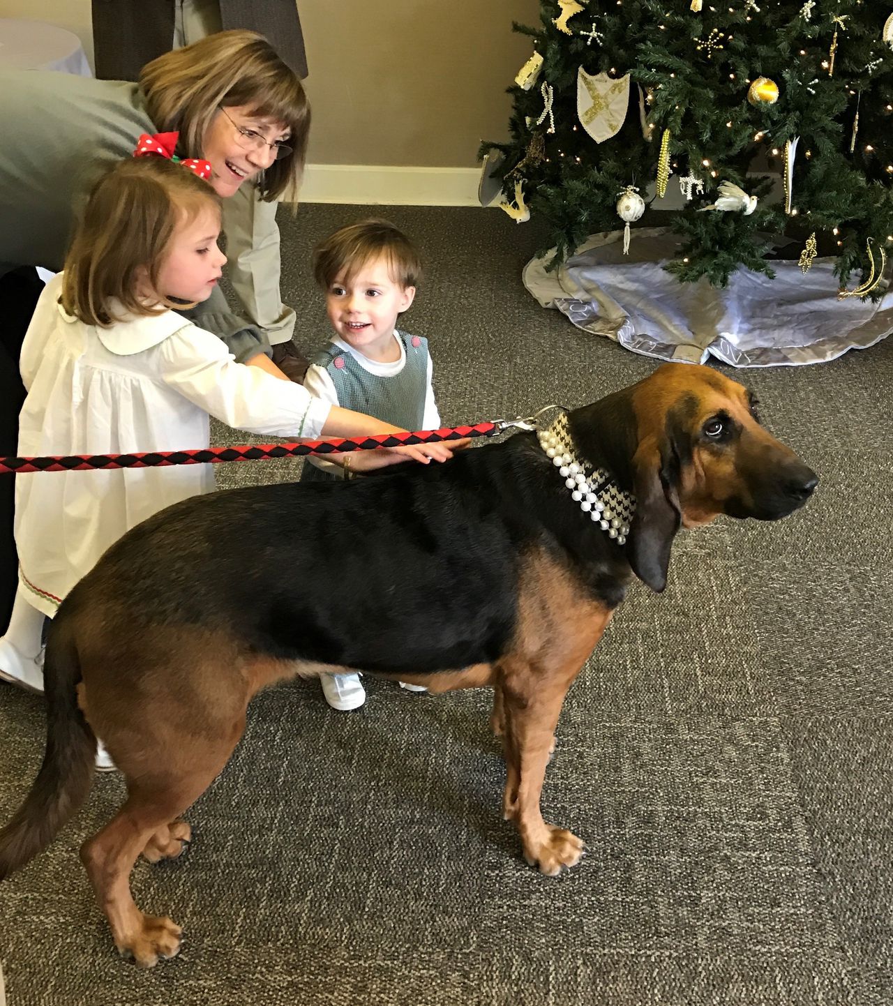 Everybody loved Lucy: The legacy of an Alabama bloodhound