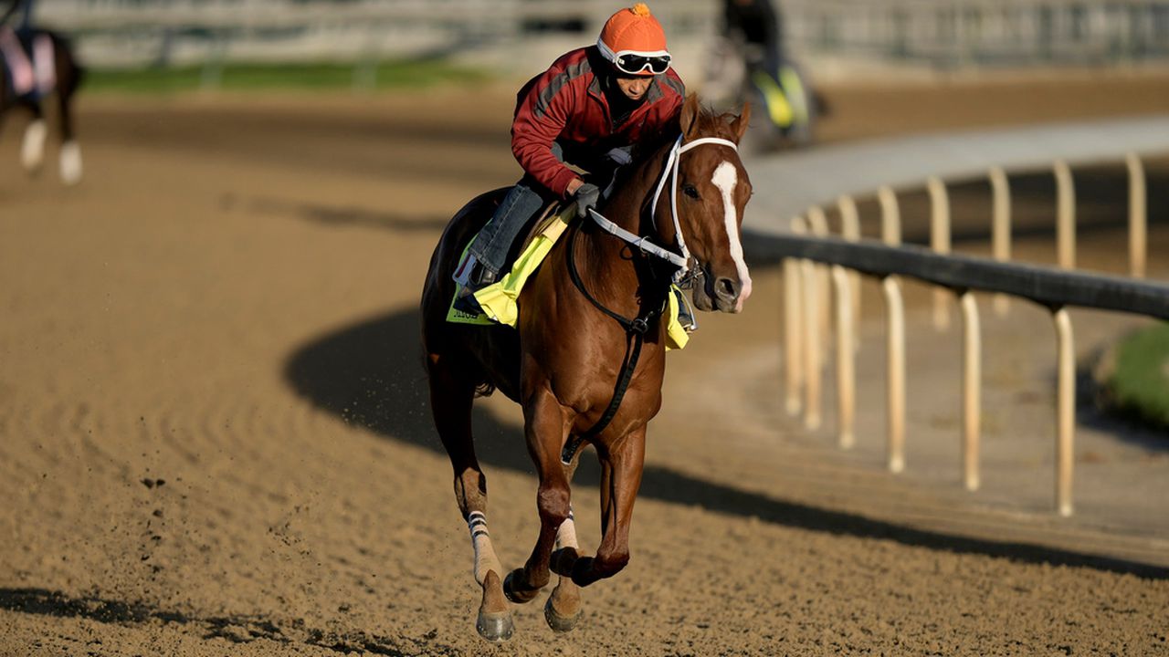 Horse deaths lead to scratch of Kentucky Derby entrant