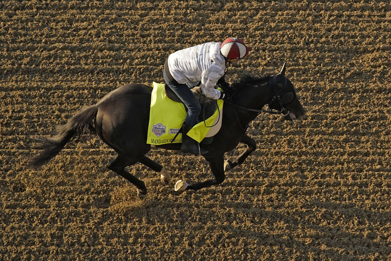 Mandarin Hero works out at Churchill Downs on Thursday, May 4, 2023, in Louisville, Ky.